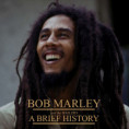 /album/photo-gallery-top-ten-playlists11/bob-marley-2-jpg4/